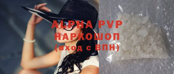 прущий лед Дмитриев
