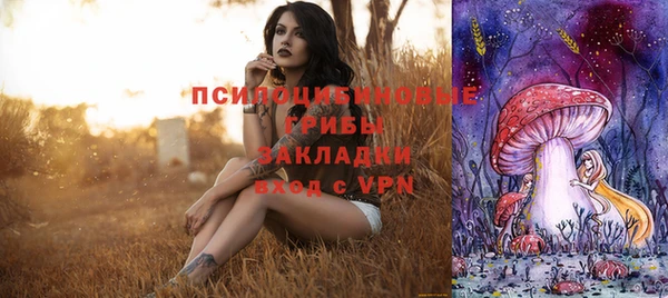 мдпв Усинск