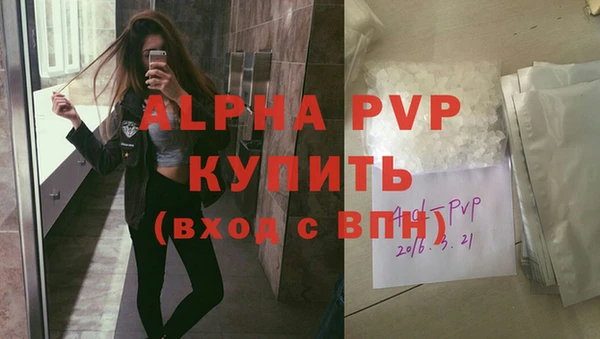 прущий лед Дмитриев