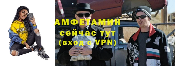 СК Дмитров