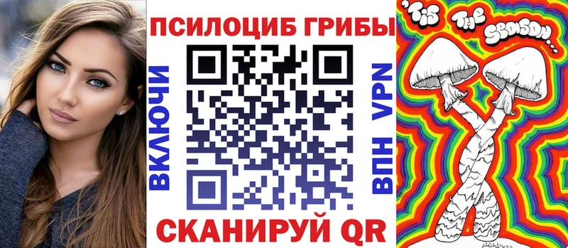 ссылка на мегу tor купить наркотик Шагонар Галлюциногенные грибы прущие грибы